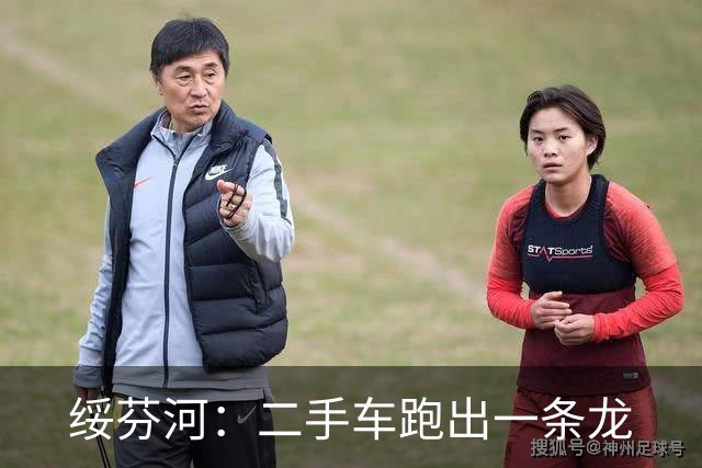 绥芬河：二手车跑出一条龙
